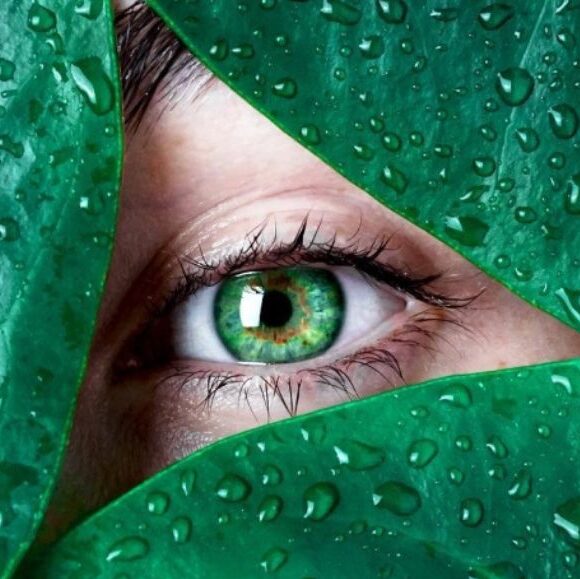 Edwardsodomincorporated